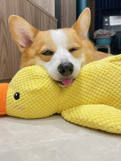 🦆Quack-Quack Duck Dog Toy