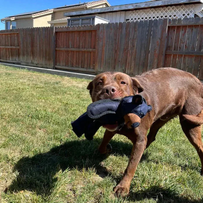 Indestructible Bear™ - The Ultimate Toy for Heavy Chewers