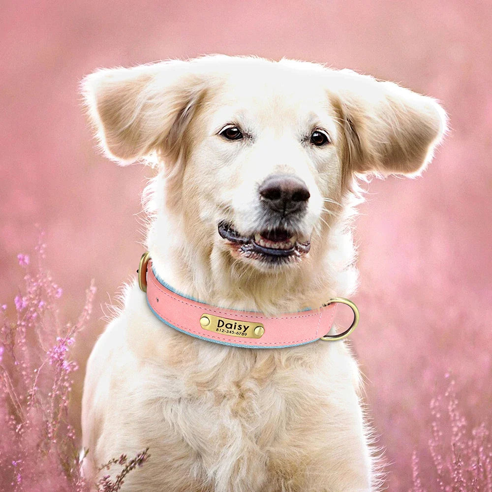 Stylish, comfy, and personalized – add your pup’s name & your contact for proud dog parents!