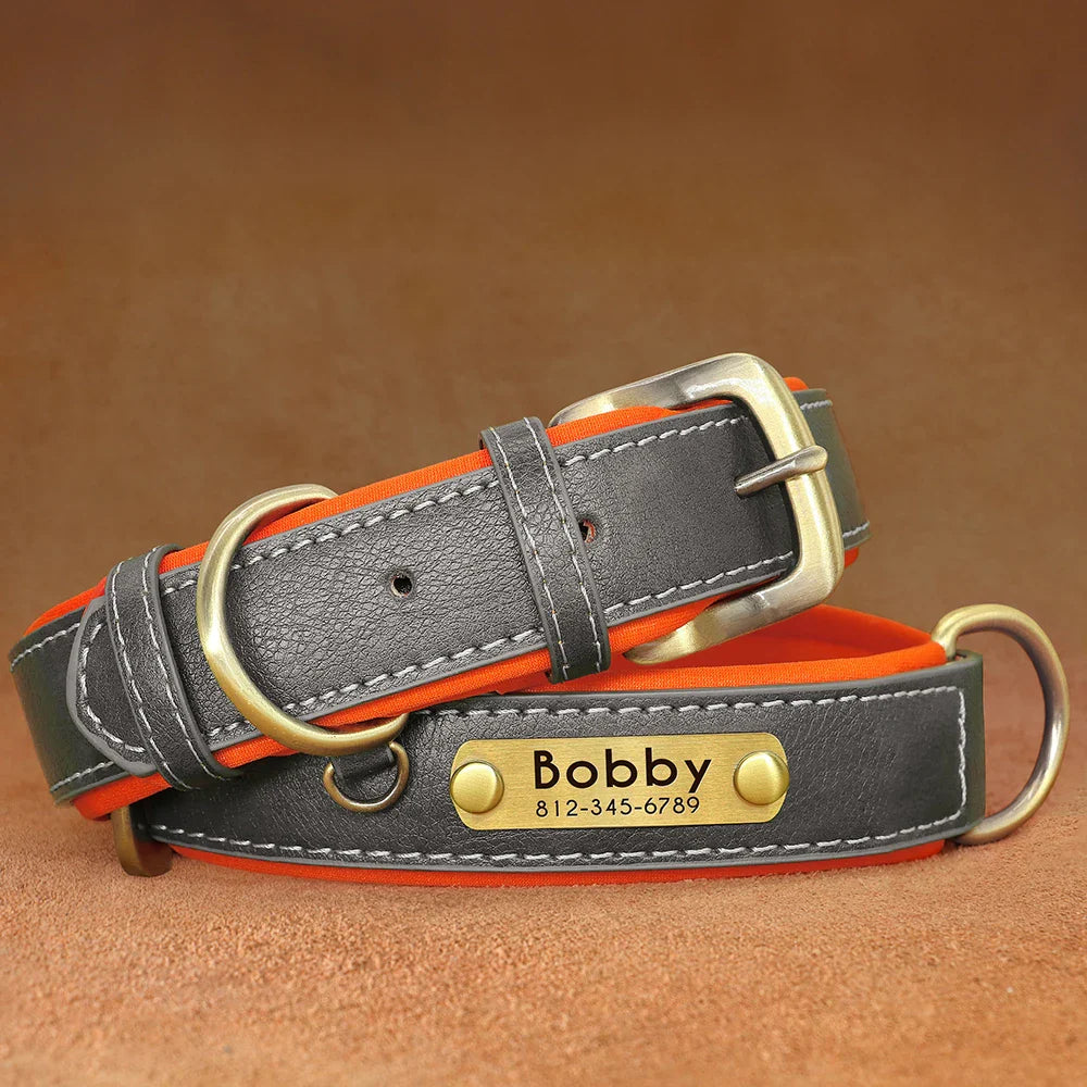 Stylish, comfy, and personalized – add your pup’s name & your contact for proud dog parents!