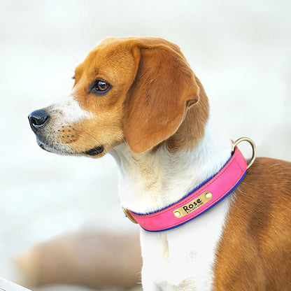 Stylish, comfy, and personalized – add your pup’s name & your contact for proud dog parents!