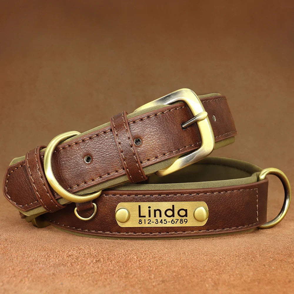 Stylish, comfy, and personalized – add your pup’s name & your contact for proud dog parents!