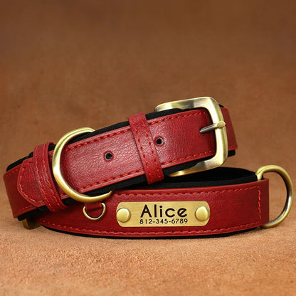 Stylish, comfy, and personalized – add your pup’s name & your contact for proud dog parents!