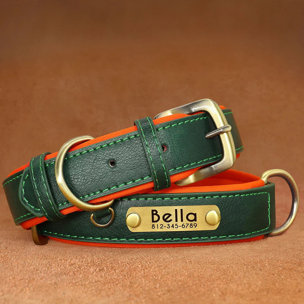 Stylish, comfy, and personalized – add your pup’s name & your contact for proud dog parents!