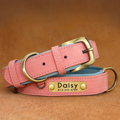 Stylish, comfy, and personalized – add your pup’s name & your contact for proud dog parents!