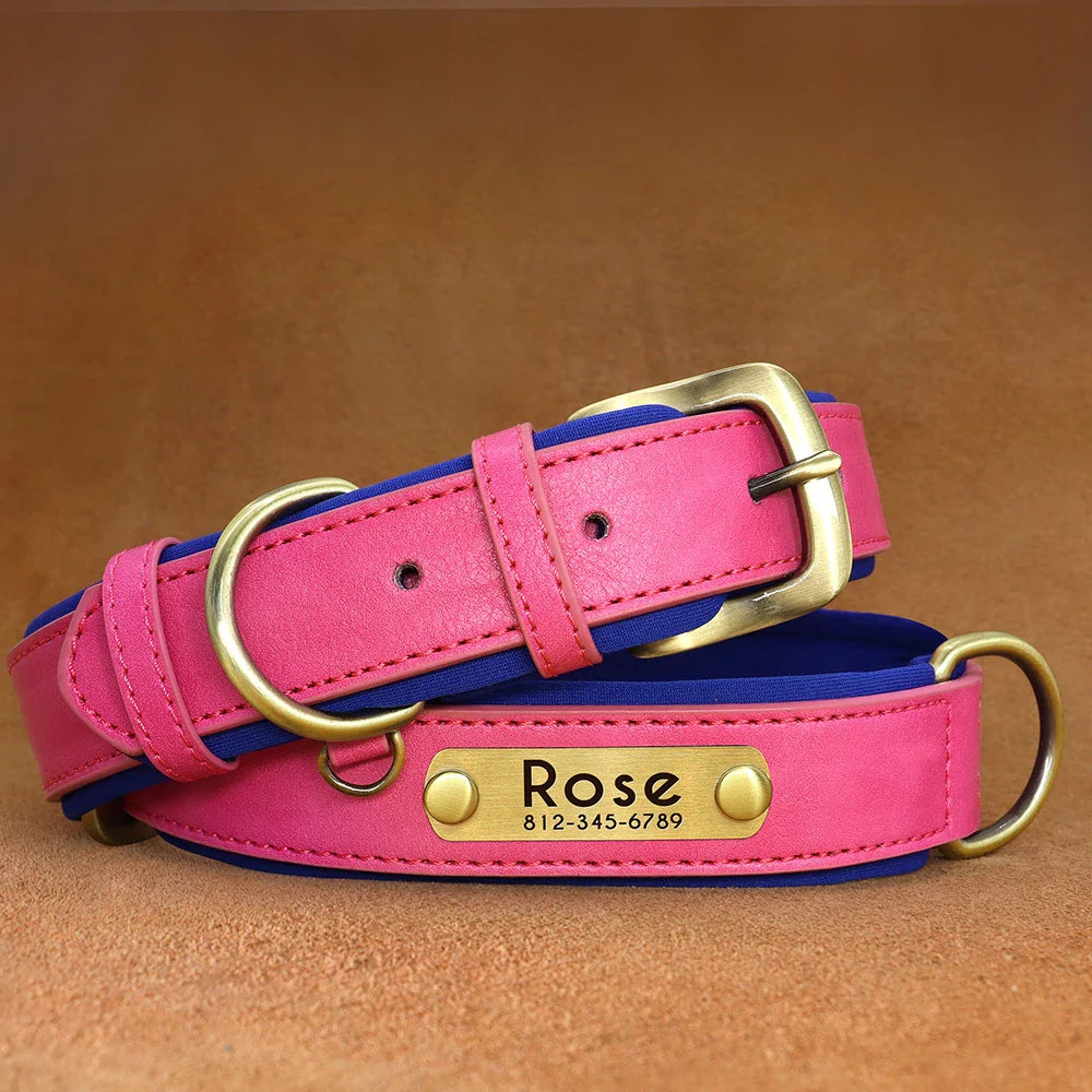 Stylish, comfy, and personalized – add your pup’s name & your contact for proud dog parents!