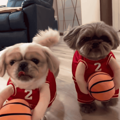 dog basket ball BANNER.png__PID:dc30b991-fefc-461d-8c60-75e8ed5ec7e2