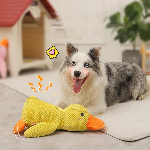 🦆Quack-Quack Duck Dog Toy